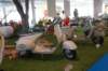luglio30ottobre2016mostraalmuseonicolis101_small.jpg