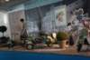luglio30ottobre2016mostraalmuseonicolis44_small.jpg