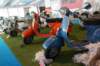 luglio30ottobre2016mostraalmuseonicolis74_small.jpg